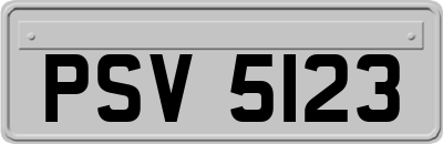 PSV5123
