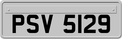 PSV5129