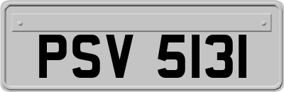 PSV5131