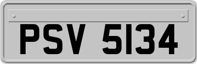 PSV5134