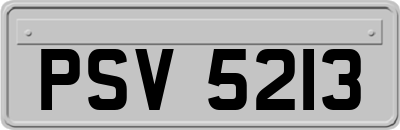 PSV5213