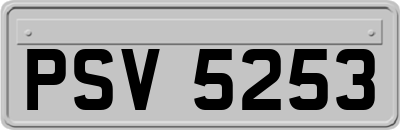 PSV5253