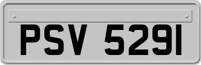 PSV5291