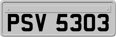 PSV5303