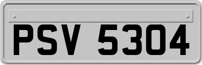 PSV5304