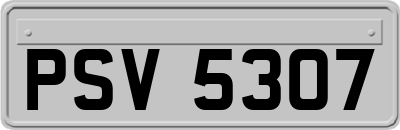 PSV5307