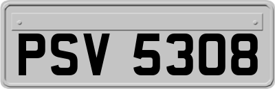 PSV5308