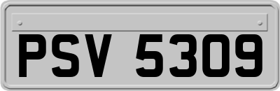 PSV5309