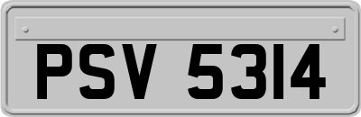 PSV5314