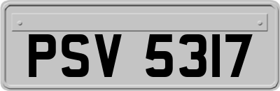 PSV5317
