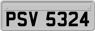 PSV5324