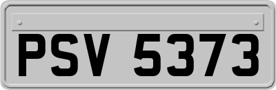 PSV5373
