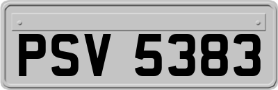 PSV5383
