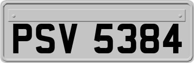 PSV5384