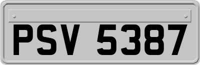 PSV5387