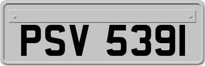 PSV5391