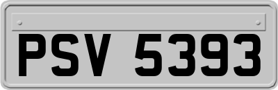 PSV5393