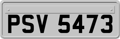 PSV5473