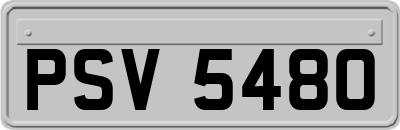PSV5480