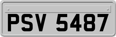 PSV5487