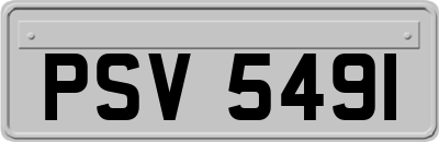 PSV5491