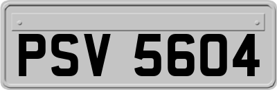 PSV5604
