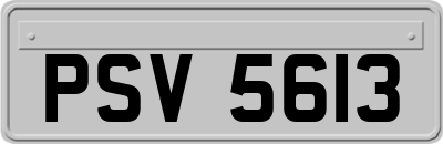 PSV5613