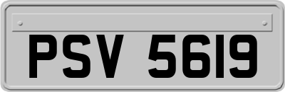 PSV5619