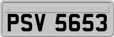 PSV5653