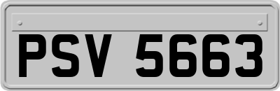 PSV5663