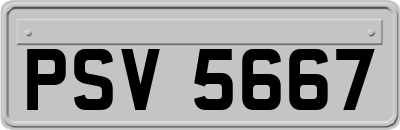 PSV5667