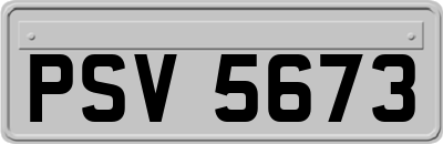 PSV5673