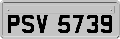 PSV5739