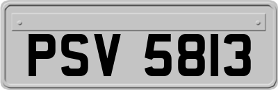 PSV5813