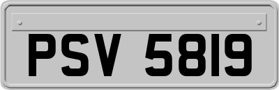 PSV5819