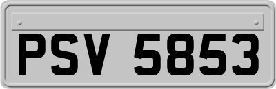 PSV5853