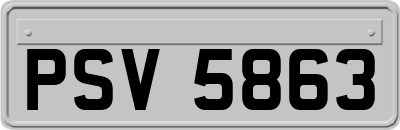 PSV5863
