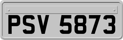 PSV5873