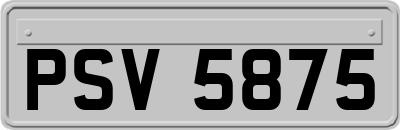 PSV5875