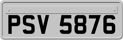 PSV5876