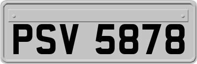 PSV5878