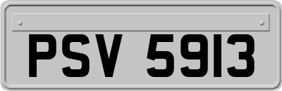 PSV5913