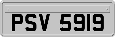PSV5919