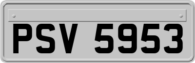PSV5953