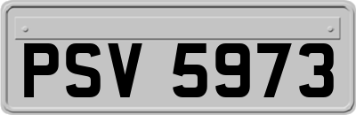 PSV5973