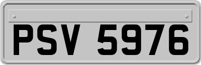 PSV5976