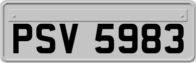 PSV5983