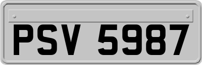 PSV5987