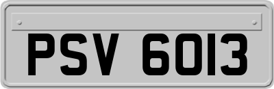 PSV6013