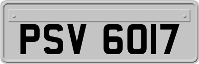 PSV6017